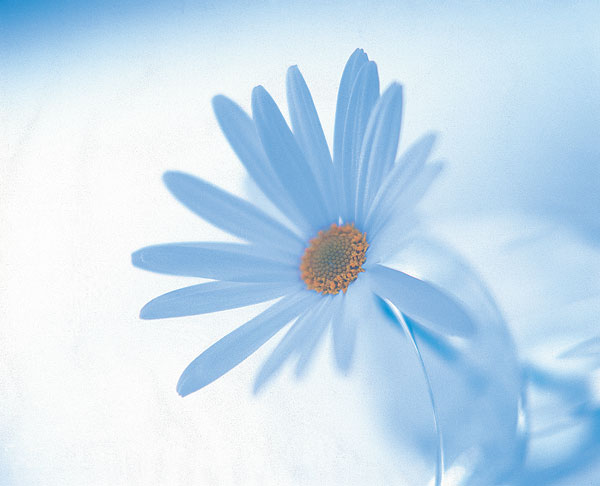 榕树下社区_商都社区_榕树下原创文学网站 - 流