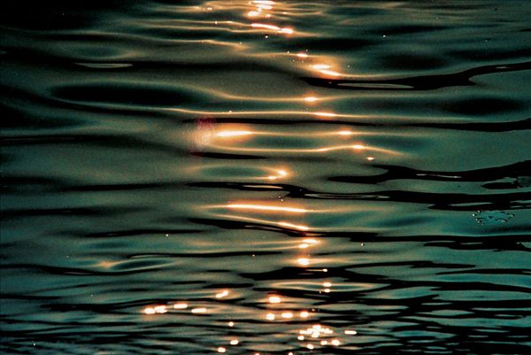 李斯特 水上吟图片_李斯特 水上吟_社会热点图