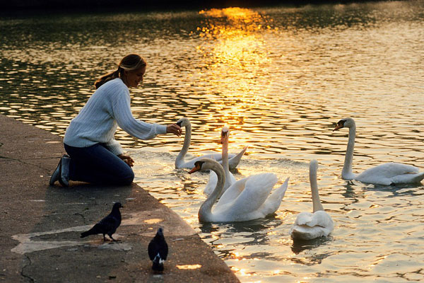 有一种伤害叫无微不至_突袭网-提供留学,移民