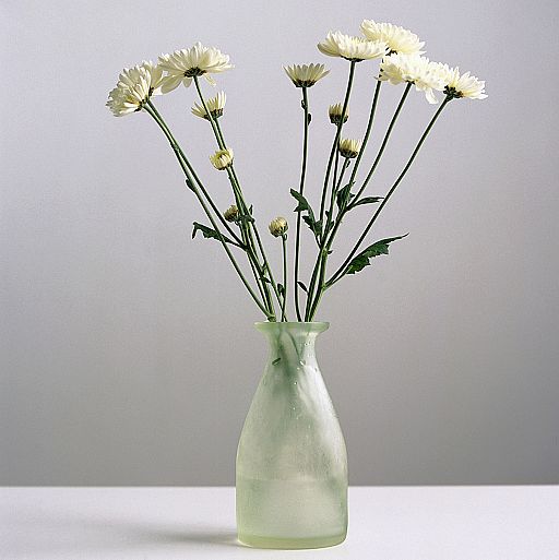 1998年5月12日中国政府巨资引进的是什么项目