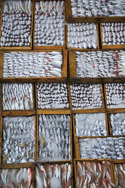 [图片] 摩洛哥的港口 ,摩洛哥的港口高清大图-摩