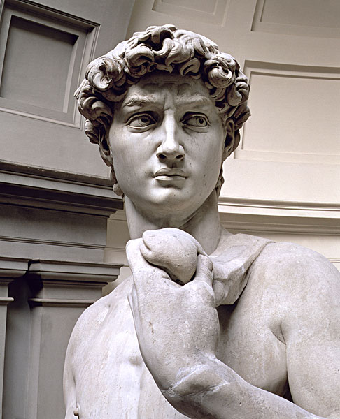 大卫像,头部,雕塑,米开朗基罗