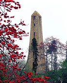 中山市旅游-中山市旅游景点大全-中山市旅游图