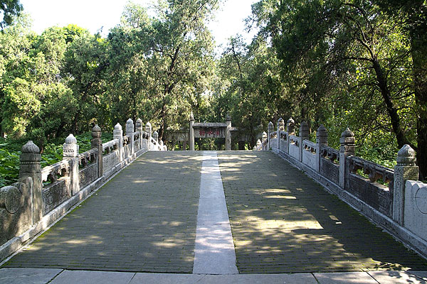 孔林_孔林图片_全景旅游