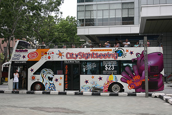 新加坡军同巴士图片,新加坡军同巴士俱乐部|新