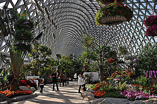 辰山植物园