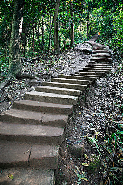 四川青城山-山道山路台阶阶梯进步前进前行爬山石阶攀登前行登高