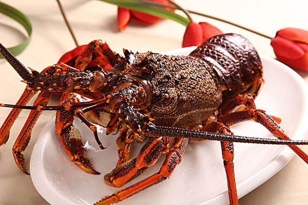 澳洲龙虾美食_澳洲龙虾美食图片大全