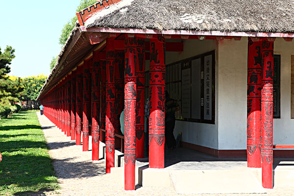 沩