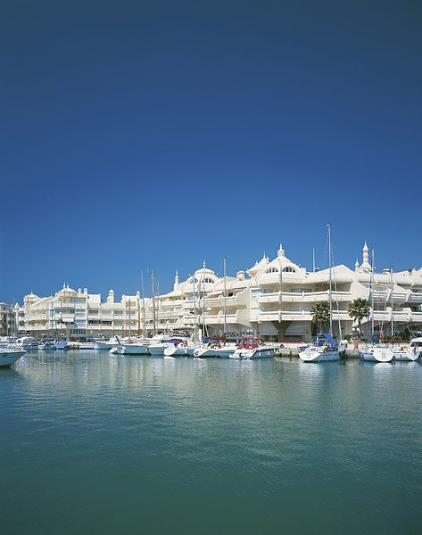 八月英语_八月英语缩写_八月英语怎么说 | 知客