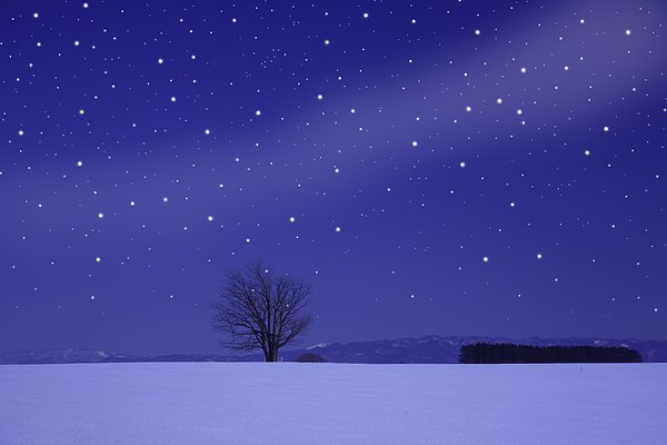 ǿ_ ȫ ͼƬ