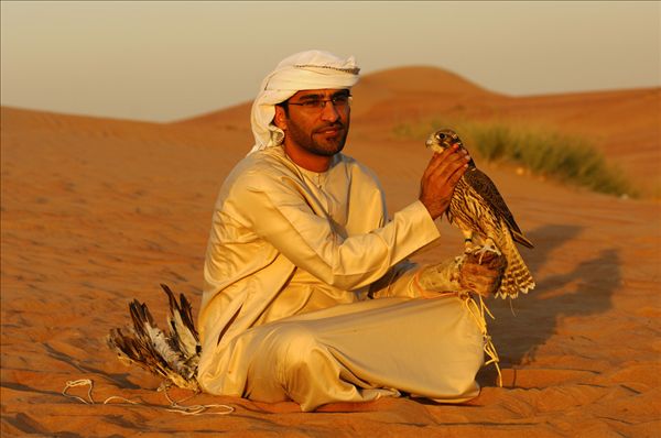 图片标题:阿拉伯,养鹰者,坐,荒芜,沙子,猎鹰,迪拜,阿联酋,中东
