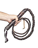 甩鞭子的男人_甩鞭子的男人图片