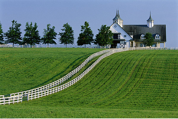 莱克星顿,肯塔基
