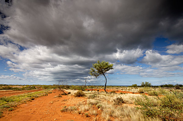 荒漠景观,西澳大利亚