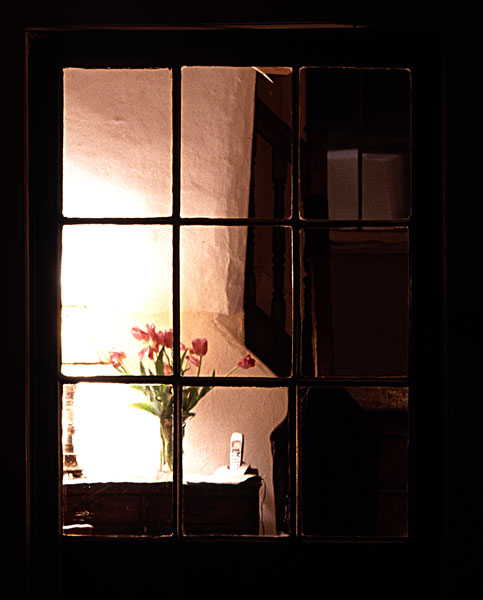 花,灯光,窗户,夜晚,什罗普郡