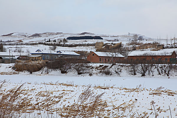 东北吉林省敦化市两江镇农村雪景