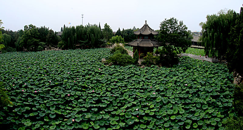 河北保定莲池书院夏日美景