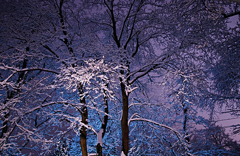 夜晚冰天雪地