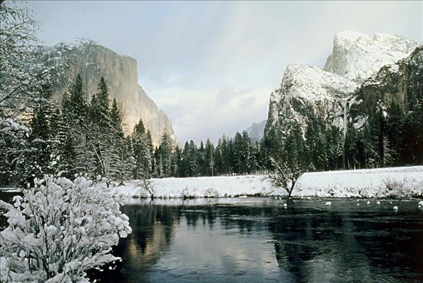 桌面壁纸 >雪景壁纸 美国加州约塞米蒂国家公园下载相似预览购买