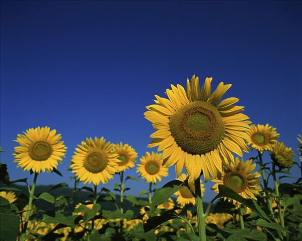 读图时代,<em>美好人生</em>