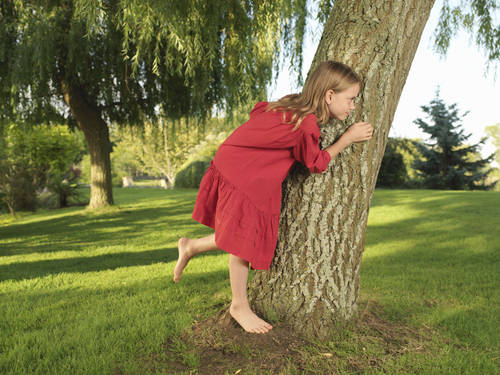 年轻的女孩躲在树上_全景图片