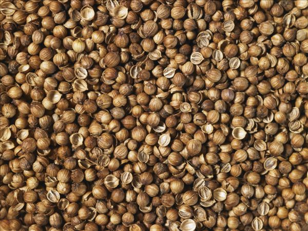 芫荽籽_芫荽_芫荽子 _淘宝学堂