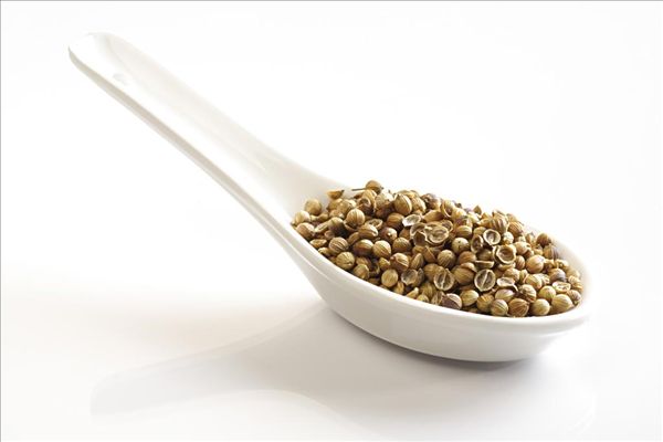 芫荽籽_芫荽_芫荽子 _淘宝学堂